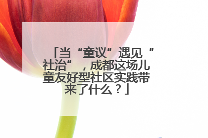 当“童议”遇见“社治”，成都这场儿童友好型社区实践带来了什么？