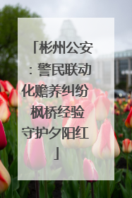 彬州公安：警民联动化赡养纠纷 枫桥经验守护夕阳红