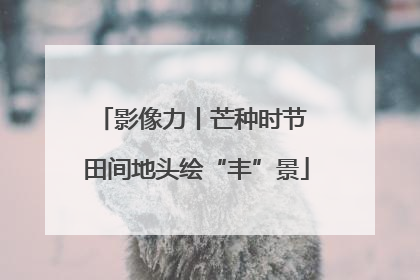 影像力丨芒种时节 田间地头绘“丰”景