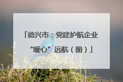 德兴市：党建护航企业“暖心”远航（图）