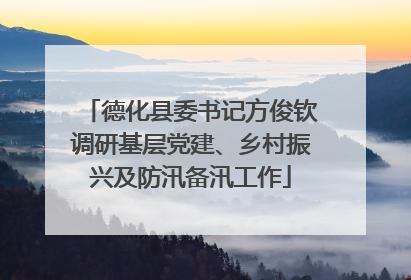 德化县委书记方俊钦调研基层党建、乡村振兴及防汛备汛工作