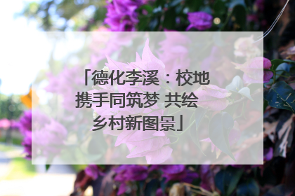 德化李溪：校地携手同筑梦 共绘乡村新图景
