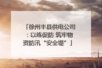 徐州丰县供电公司：以练促防 筑牢物资防汛“安全堤”