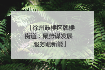 徐州鼓楼区牌楼街道：聚势谋发展 服务赋新能