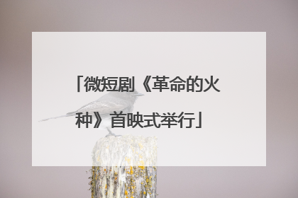 微短剧《革命的火种》首映式举行