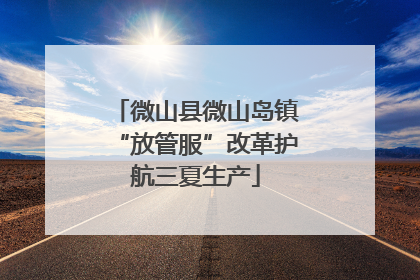 微山县微山岛镇“放管服”改革护航三夏生产