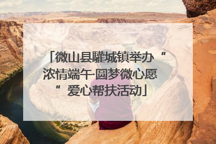 微山县驩城镇举办“浓情端午·圆梦微心愿”爱心帮扶活动