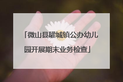 微山县驩城镇公办幼儿园开展期末业务检查