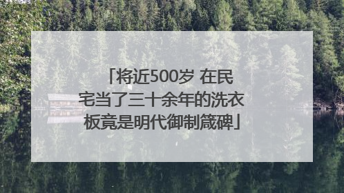 将近500岁 在民宅当了三十余年的洗衣板竟是明代御制箴碑