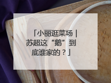 小丽逛菜场｜苏超这“鹅”到底谁家的？