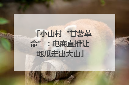 小山村“甘薯革命”：电商直播让地瓜走出大山