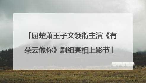 屈楚萧王子文领衔主演《有朵云像你》剧组亮相上影节