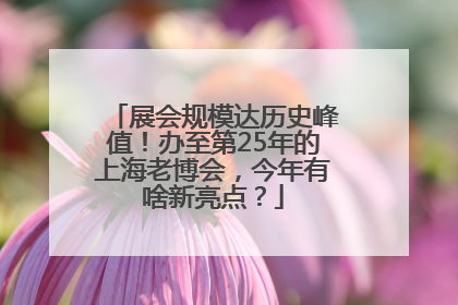 展会规模达历史峰值！办至第25年的上海老博会，今年有啥新亮点？