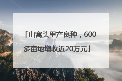 山窝头里产良种，600多亩地增收近20万元