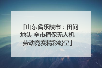 山东省乐陵市：田间地头 全市植保无人机劳动竞赛精彩纷呈