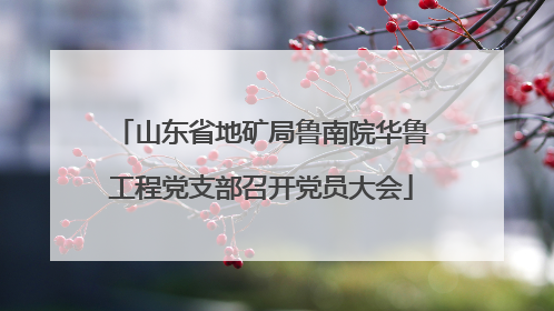 山东省地矿局鲁南院华鲁工程党支部召开党员大会