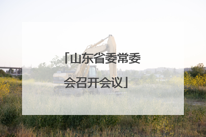 山东省委常委会召开会议