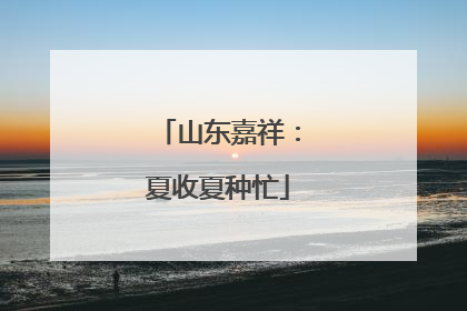 山东嘉祥：夏收夏种忙