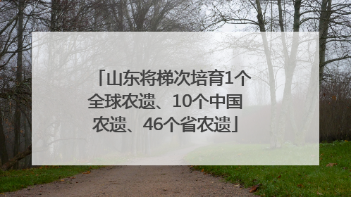 山东将梯次培育1个全球农遗、10个中国农遗、46个省农遗