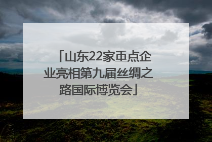 山东22家重点企业亮相第九届丝绸之路国际博览会