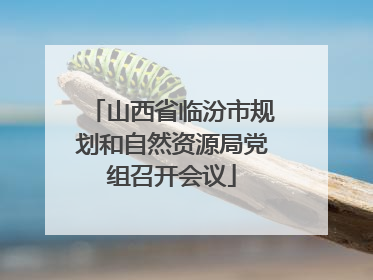 山西省临汾市规划和自然资源局党组召开会议