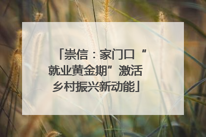 崇信：家门口“就业黄金期”激活乡村振兴新动能