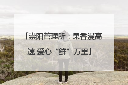 崇阳管理所：果香漫高速 爱心“鲜”万里