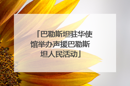 巴勒斯坦驻华使馆举办声援巴勒斯坦人民活动