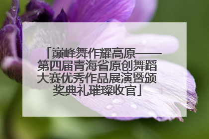 巅峰舞作耀高原——第四届青海省原创舞蹈大赛优秀作品展演暨颁奖典礼璀璨收官