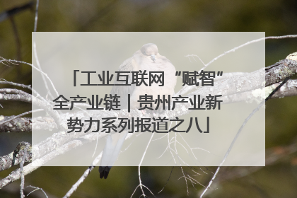 工业互联网“赋智”全产业链｜贵州产业新势力系列报道之八