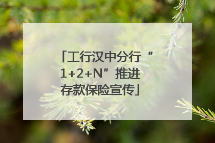 工行汉中分行“1+2+N”推进存款保险宣传