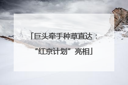 巨头牵手种草直达：“红京计划”亮相