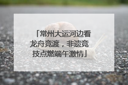 常州大运河边看龙舟竞渡，非遗竞技点燃端午激情