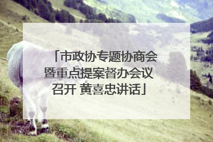 市政协专题协商会暨重点提案督办会议召开 黄喜忠讲话