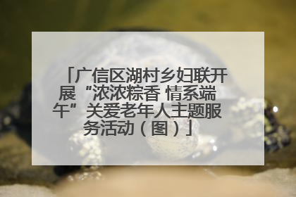 广信区湖村乡妇联开展“浓浓粽香 情系端午”关爱老年人主题服务活动（图）