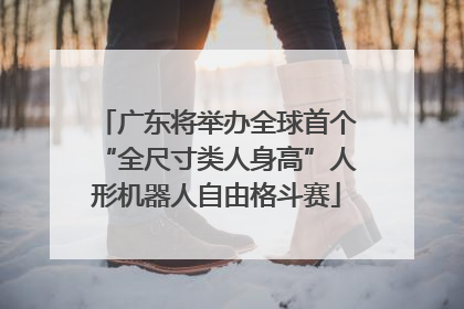广东将举办全球首个“全尺寸类人身高”人形机器人自由格斗赛