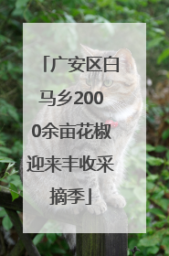 广安区白马乡2000余亩花椒迎来丰收采摘季