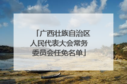 广西壮族自治区人民代表大会常务委员会任免名单