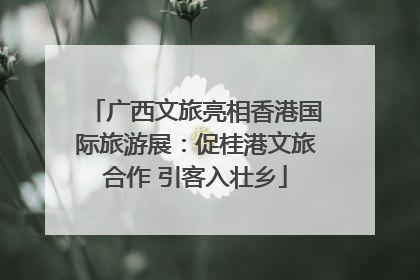 广西文旅亮相香港国际旅游展：促桂港文旅合作 引客入壮乡