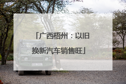 广西梧州：以旧换新汽车销售旺