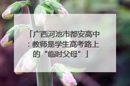 广西河池市都安高中：教师是学生高考路上的“临时父母”