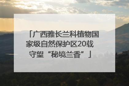 广西雅长兰科植物国家级自然保护区20载守望“秘境兰香”