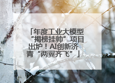 年度工业大模型“揭榜挂帅”项目出炉！AI创新济青“两翼齐飞”
