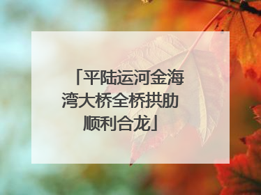 平陆运河金海湾大桥全桥拱肋顺利合龙