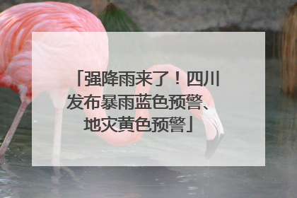 强降雨来了！四川发布暴雨蓝色预警、地灾黄色预警