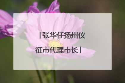 张华任扬州仪征市代理市长