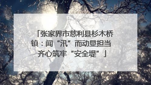 张家界市慈利县杉木桥镇：闻“汛”而动显担当 齐心筑牢“安全堤”