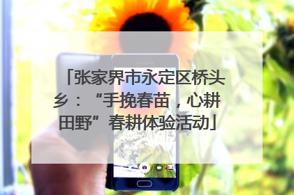 张家界市永定区桥头乡：“手挽春苗，心耕田野”春耕体验活动