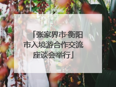 张家界市·衡阳市入境游合作交流座谈会举行