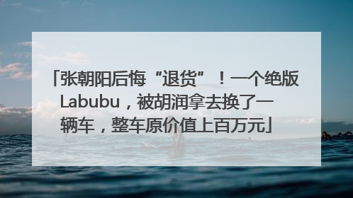 张朝阳后悔“退货”！一个绝版Labubu，被胡润拿去换了一辆车，整车原价值上百万元